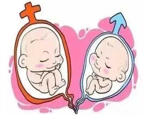 南昌供卵试管助孕正规机构与费用价格解析